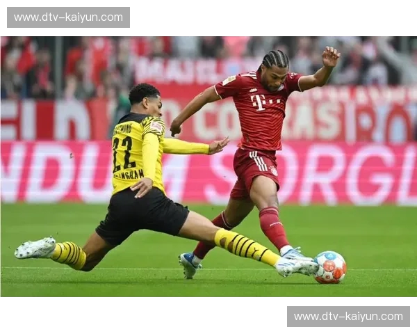 德甲安装包:把全场激情装进你的掌心